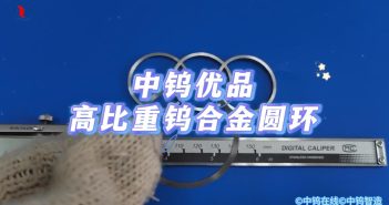【中鎢優品】高比重鎢合金圓環